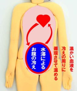 水滞(すいたい)でお腹が冷えると温かい血液を冷えの周りに循環させて温める