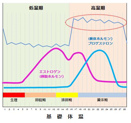 卵胞ホルモンと黄体ホルモンの入れ替わりで高温期になると顎ニキビが出来やすくなります