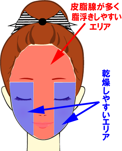 混合肌はTゾーンは脂浮きしやすく、その他の部分は乾燥する肌です。