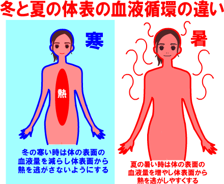 暑いと肌表面の血流が高まり肌の働きが高まりますが、寒いと肌表面の血流が減少して肌の働きが低下します。
