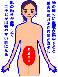 体表の血流量が低下し肌の働きが低下するとニキビが出来やすいはだになる