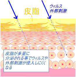 日中は脂浮きするのに洗顔後はつっぱる肌、混合肌、インナードライ肌