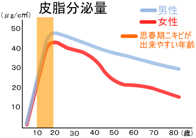 皮脂分泌量グラフ