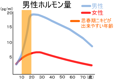 男性ホルモン分泌量グラフ