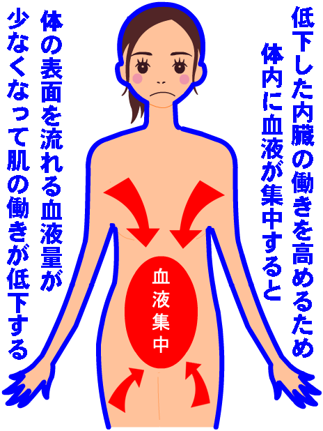 内臓の働きが低下するとその部分に血液が集中するため肌周囲の血液が少なくなって肌の働きが低下する