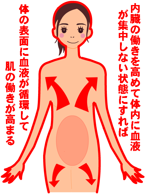 内臓の働きを高めれば肌周囲の血流が増えて肌の働きが高まる